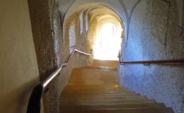 019 - der Weg ins Licht